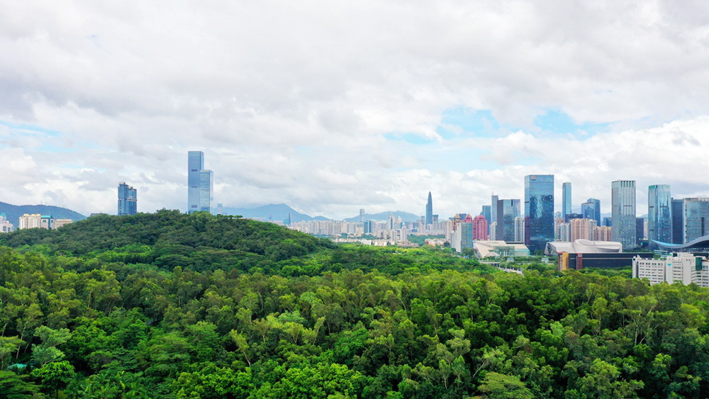 2021年首季經(jīng)濟(jì)迎來(lái)開門紅，深圳發(fā)展勢(shì)頭強(qiáng)勁